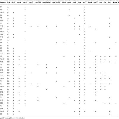 High Prevalence of β-lactamase and Plasmid-Mediated Quinolone Resistance Genes in Extended-Spectrum Cephalosporin-Resistant Escherichia coli from Dogs in Shaanxi, China